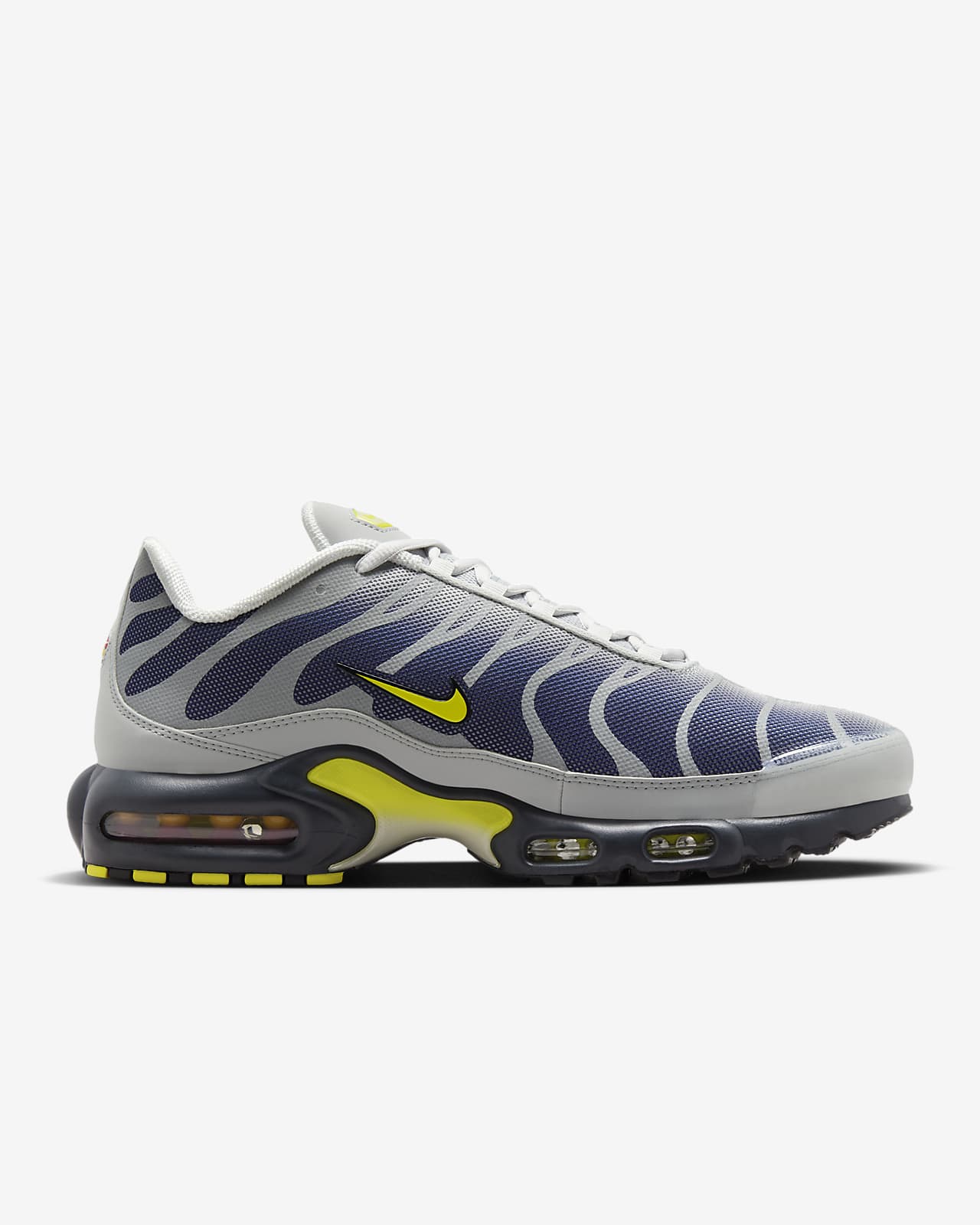 Air Max Plus Tn  - Bleu et Gris